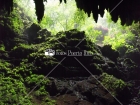 Cavernas, Camuy, Puerto Rico