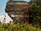 Ruinas, Flora, Aguadilla, Puerto Rico