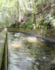 Canal de Riego Isabela, Puerto Rico