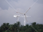 Molinos de Viento, Toa Baja, Puerto Rico