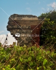 Ruinas, Flora, Aguadilla, Puerto Rico