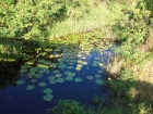 La Esperanza, Manatí, Puerto Rico