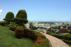 Flores, Castillo Serrallez, Ponce, Puerto Rico