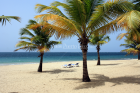 Palmas, Playa Isla Verde, Carolina, Puerto Rico