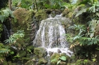 Cascada, Agua, Naturaleza, Flora