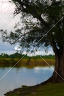 Tortuguero, Vega Baja, Puerto Rico