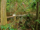 Hacienda Buena Vista, Maricao, Puerto Rico