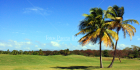 Palmas, Campo de Golf, Puerto Rico