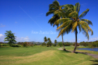 Campo de Golf, Puerto Rico