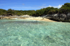 Flora, Cayo Icacos, Fajardo, Puerto Rico