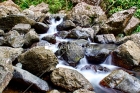 Tranquilidad Natural, Rio Grande, Puerto Rico